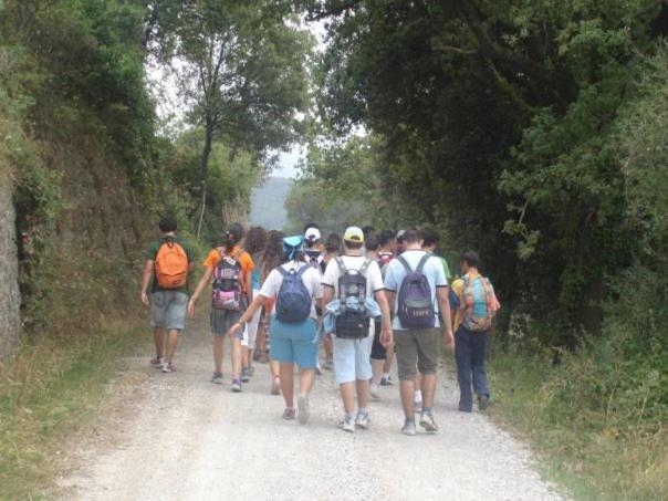Hotel Il Pino Garlasco Bagian luar foto